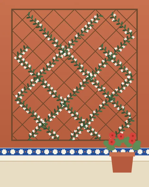 Climbing jasmine trained up a diagonal wooden trellis on a terracotta wall, dark leaves and small white flowers, above a tiled dado. A clay pot of red geraniums stands on the floor.