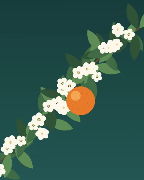 A single branch of orange blossom crossing the frame diagonally on a deep teal ground: dark glossy leaves, clusters of small white five-petalled flowers with gold centres and one ripe orange.