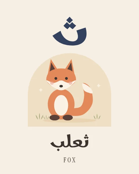 The Arabic letter Tha drawn large above an orange fox sitting with its white-tipped tail curled round, with the word thalab written beneath in Arabic and English.