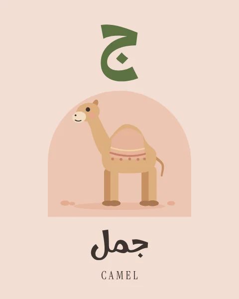 The Arabic letter Jim drawn large above a one-humped camel wearing a striped blanket, with the word jamal written beneath in Arabic and English.