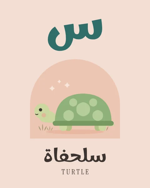The Arabic letter Sin drawn large above a green turtle with a patterned shell, head out, with the word sulahfa written beneath in Arabic and English.