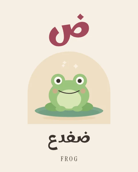 The Arabic letter Dad drawn large above a green frog sitting on a lily pad, with the word difda written beneath in Arabic and English.