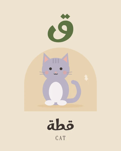 The Arabic letter Qaf drawn large above a lilac-grey tabby cat with white paws, with the word qitta written beneath in Arabic and English.