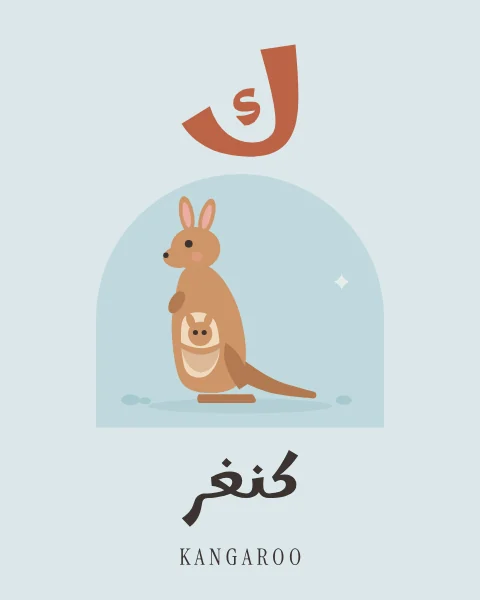 The Arabic letter Kaf drawn large above a kangaroo with a joey peeping from her pouch, with the word kangar written beneath in Arabic and English.