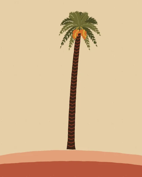 A tall date palm with a full crown and hanging dates rises from a low dune against a sand-coloured sky.