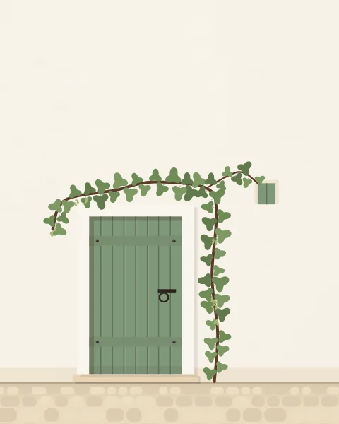 A small green plank door in a whitewashed wall, with a grapevine climbing beside it and arching over the top.