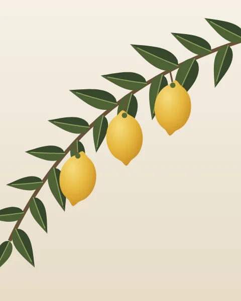 A lemon branch crosses the sheet from the top corner, its leaves split into two greens along the midrib to catch the light. Three lemons hang beneath it, each shaded from pale yellow to deep ochre.