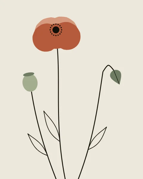 Three fine ink stems rise from the bottom edge. One ends in an open poppy in two terracottas with a dark centre, one in a nodding sage-green bud, one in a sage seed pod with its crown.