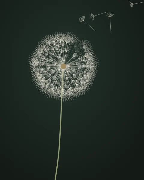 A dandelion clock glows on a near-black green ground, hundreds of seeds radiating from the centre, the far ones fainter. On one side a gap has opened and a handful of seeds drift off across the sheet.
