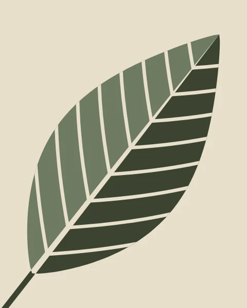 A single broad leaf lies across the sheet on a slant, its stalk running off the lower edge. One half is sage, the other deep moss, and the midrib and evenly spaced veins are cut through to the oat ground.