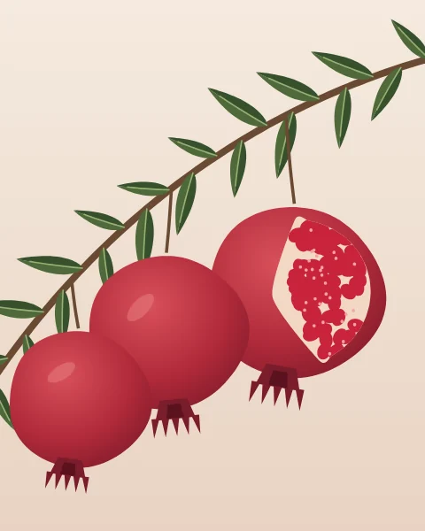 A slender branch with narrow green leaves crosses a warm blush sheet. Three crowned pomegranates hang from it, the largest split open to show pale pith and a cluster of ruby seeds.