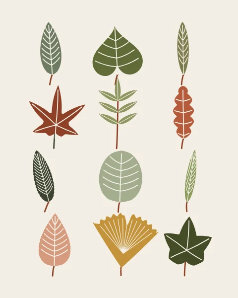 A grid of single leaves laid out like a specimen drawer on a bone ground: bay, oak, ginkgo, maple, willow, linden, sweet chestnut, ivy, ash, birch, olive and eucalyptus, each in one flat colour of sage, olive, moss, terracotta or ochre with its veins cut back to the paper.