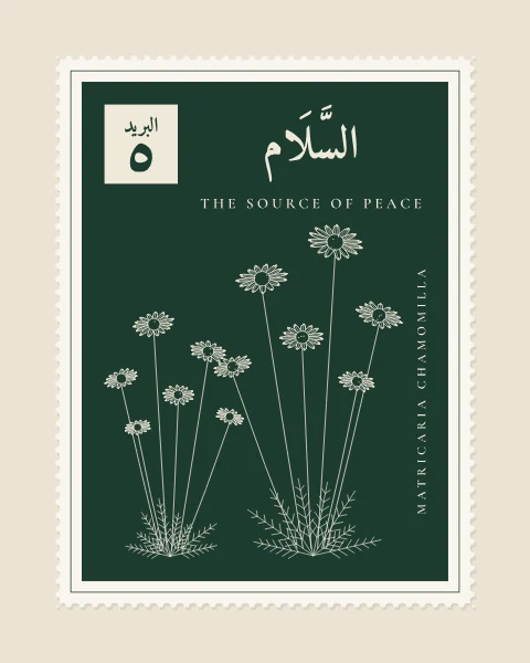 A perforated postage stamp in bottle green showing a cluster of chamomile daisies over feathery leaves in fine white-line engraving, with the Name in Arabic and English, the Latin name along one edge and a corner panel numbered 5.