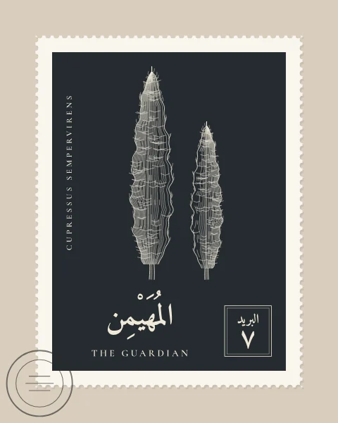 A perforated postage stamp in slate showing a single tall Mediterranean cypress in fine white-line engraving, with the Name in Arabic and English, the Latin name along one edge and a corner panel numbered 7. A faint postmark crosses one corner.