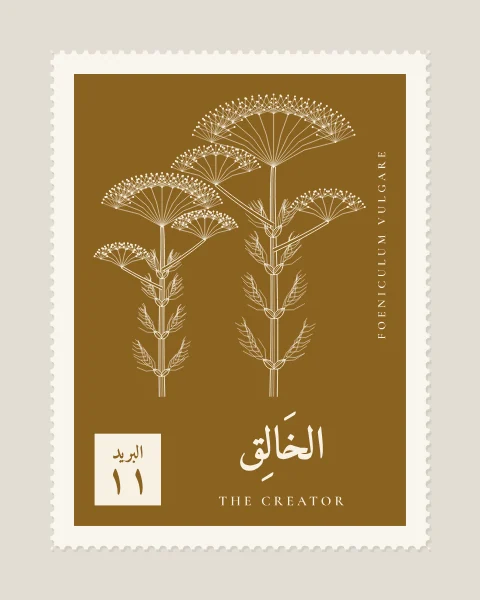 A perforated postage stamp in ochre showing fennel in flower, with wide umbels over thread-fine leaves in fine white-line engraving, with the Name in Arabic and English, the Latin name along one edge and a corner panel numbered 11.