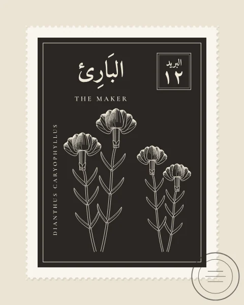 A perforated postage stamp in deep umber showing two carnations with fringed petals and narrow leaves in fine white-line engraving, with the Name in Arabic and English, the Latin name along one edge and a corner panel numbered 12. A faint postmark crosses one corner.