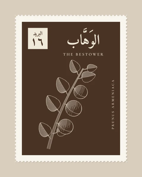 A perforated postage stamp in sepia showing an apricot branch with ripe fruit and toothed leaves in fine white-line engraving, with the Name in Arabic and English, the Latin name along one edge and a corner panel numbered 16.