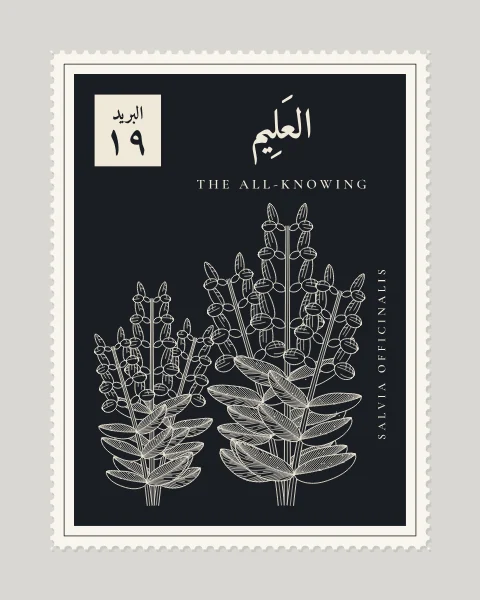 A perforated postage stamp in ink-black showing a sprig of garden sage in flower in fine white-line engraving, with the Name in Arabic and English, the Latin name along one edge and a corner panel numbered 19.