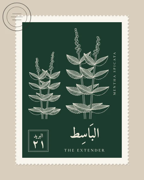 A perforated postage stamp in bottle green showing two stems of spearmint with toothed leaves and slender flower spikes in fine white-line engraving, with the Name in Arabic and English, the Latin name along one edge and a corner panel numbered 21. A faint postmark crosses one corner.