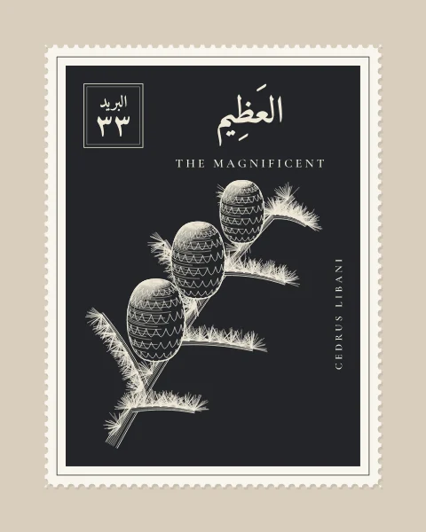 A perforated postage stamp in charcoal showing a cedar of Lebanon with its flat, layered tiers of foliage in fine white-line engraving, with the Name in Arabic and English, the Latin name along one edge and a corner panel numbered 33.