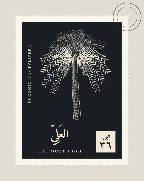 A perforated postage stamp in ink-black showing a date palm with arching fronds and hanging clusters of dates in fine white-line engraving, with the Name in Arabic and English, the Latin name along one edge and a corner panel numbered 36. A faint postmark crosses one corner.