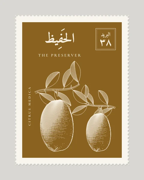 A perforated postage stamp in ochre showing a large, lumpy citron hanging below a leafy branch in fine white-line engraving, with the Name in Arabic and English, the Latin name along one edge and a corner panel numbered 38.