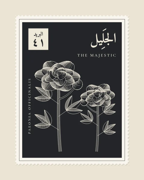 A perforated postage stamp in charcoal showing a full peony bloom with a bud and divided leaves in fine white-line engraving, with the Name in Arabic and English, the Latin name along one edge and a corner panel numbered 41.
