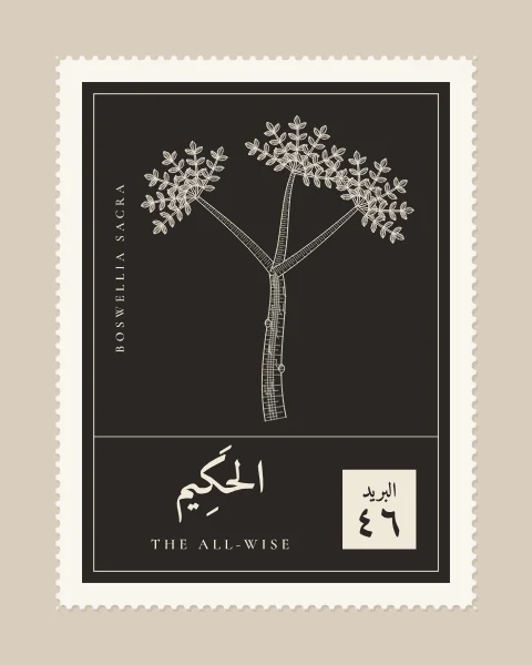 A perforated postage stamp in deep umber showing a small, gnarled frankincense tree with papery bark and leaves gathered at the branch tips in fine white-line engraving, with the Name in Arabic and English, the Latin name along one edge and a corner panel numbered 46.