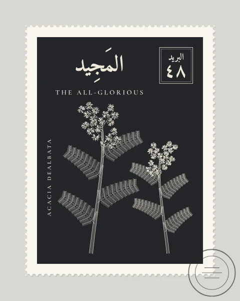 A perforated postage stamp in charcoal showing a spray of mimosa with feathery leaves and puffball flowers in fine white-line engraving, with the Name in Arabic and English, the Latin name along one edge and a corner panel numbered 48. A faint postmark crosses one corner.
