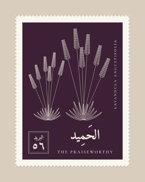 A perforated postage stamp in aubergine showing a clump of lavender with slender flower spikes in fine white-line engraving, with the Name in Arabic and English, the Latin name along one edge and a corner panel numbered 56.