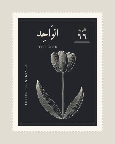 A perforated postage stamp in charcoal showing a single tulip with two broad leaves in fine white-line engraving, with the Name in Arabic and English, the Latin name along one edge and a corner panel numbered 66.