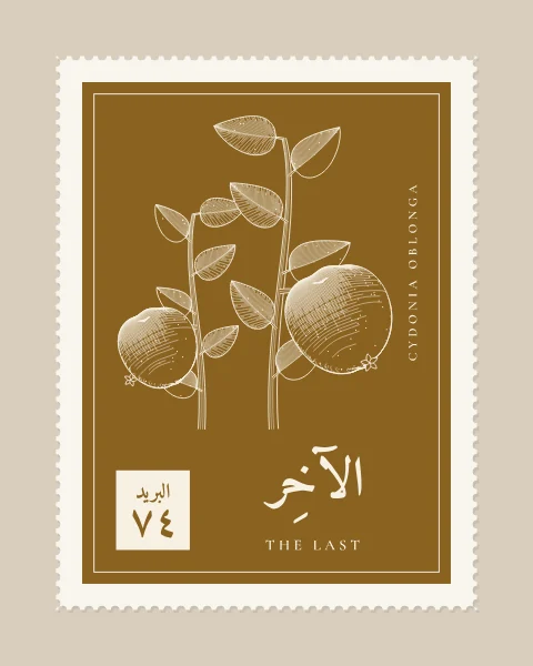 A perforated postage stamp in ochre showing a quince hanging from a leafy branch in fine white-line engraving, with the Name in Arabic and English, the Latin name along one edge and a corner panel numbered 74.