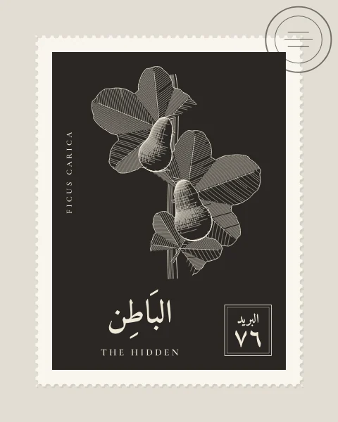 A perforated postage stamp in deep umber showing a fig stem with two ripe figs and deeply lobed leaves in fine white-line engraving, with the Name in Arabic and English, the Latin name along one edge and a corner panel numbered 76. A faint postmark crosses one corner.
