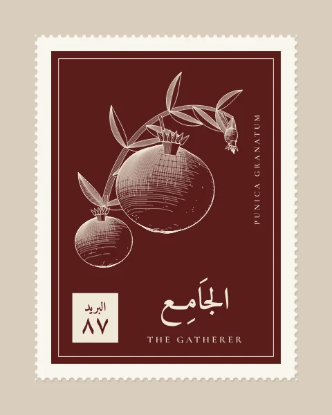 A perforated postage stamp in oxblood showing a pomegranate branch with two fruits and a flower bud in fine white-line engraving, with the Name in Arabic and English, the Latin name along one edge and a corner panel numbered 87.