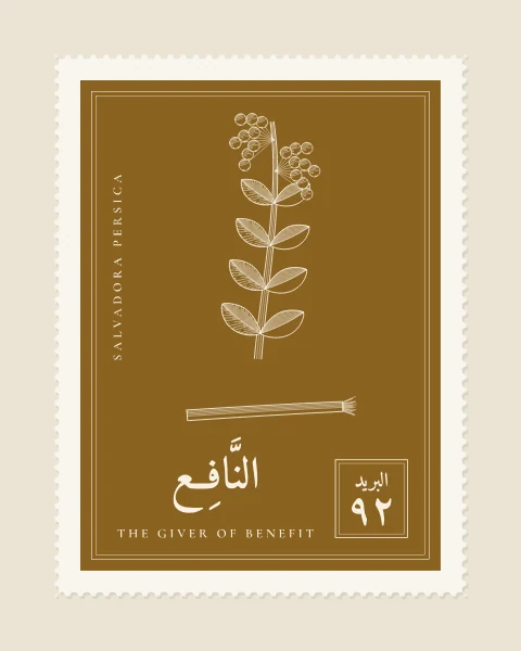 A perforated postage stamp in ochre showing a branch of the toothbrush tree with clusters of small fruit, and a cut chewing stick beneath in fine white-line engraving, with the Name in Arabic and English, the Latin name along one edge and a corner panel numbered 92.