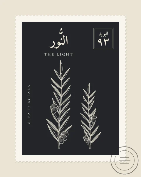 A perforated postage stamp in charcoal showing an olive branch with fruit in fine white-line engraving, with the Name in Arabic and English, the Latin name along one edge and a corner panel numbered 93. A faint postmark crosses one corner.