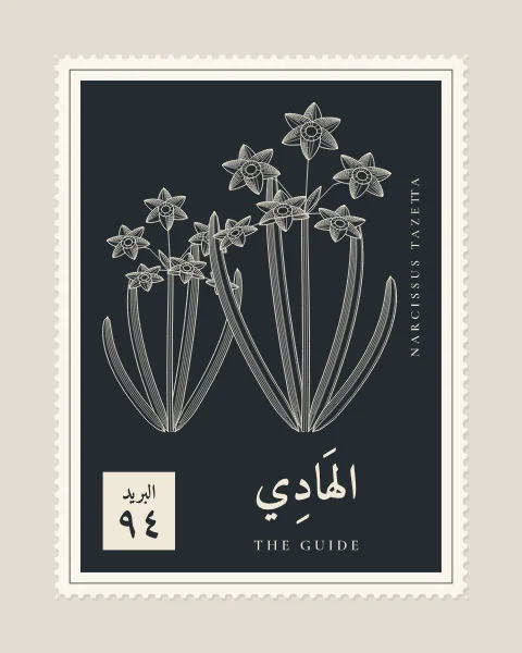 A perforated postage stamp in slate showing a stem of narcissus carrying a cluster of small cupped flowers in fine white-line engraving, with the Name in Arabic and English, the Latin name along one edge and a corner panel numbered 94.
