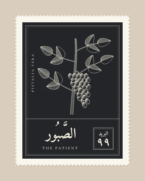 A perforated postage stamp in charcoal showing a pistachio branch with a hanging cluster of nuts in fine white-line engraving, with the Name in Arabic and English, the Latin name along one edge and a corner panel numbered 99.