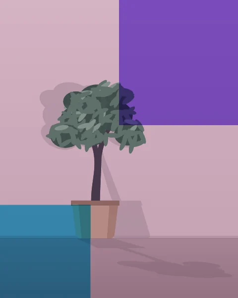 A small olive tree in a clay pot stands against a pale wall, its leafy shadow spread across the plaster beside it. A violet plane covers the top right and a cyan one the lower left.