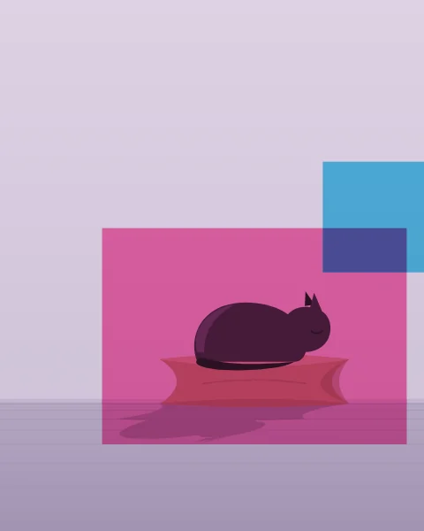 A dark cat lies curled asleep on a large floor cushion beside a wall, with a soft shadow beneath. A magenta plane frames the cushion and a cyan square overlaps it from above.