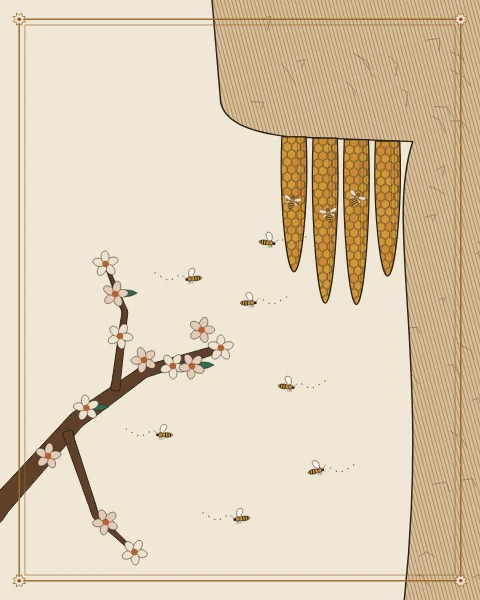 Bees flying between a blossoming branch and long combs hanging from a high rock face, drawn in fine line with flat colour.