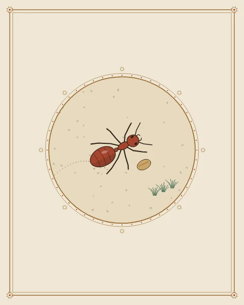 A single ant carrying a seed across a pale round of open ground, a faint dotted trail behind it and a few blades of grass.