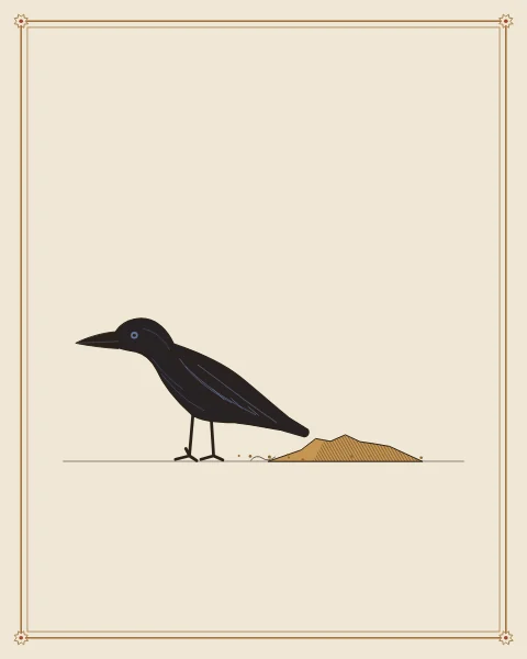 A crow standing beside a small mound of freshly turned earth, drawn in ink and blue-black on a wide pale ground.