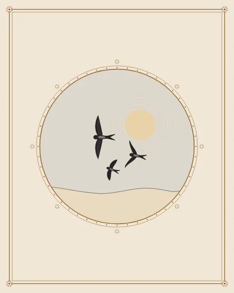 Three birds high in a pale sky inside a round frame, one with wings spread and two folding theirs, above a low line of sand and a soft sun.