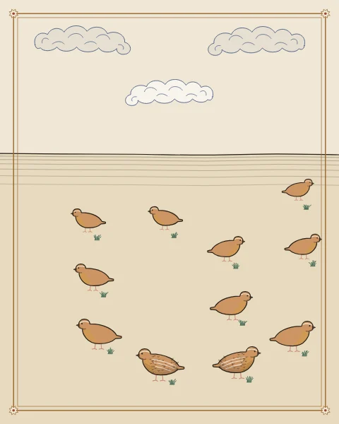A covey of quails scattered across open ground beneath a band of scrolling clouds.
