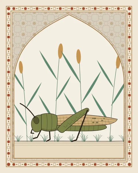 A single locust drawn in profile with veined wings and a banded hind leg, set in a pointed arch with a lattice field and star border.