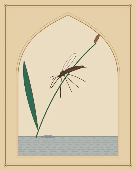 A single gnat, small and finely drawn, alighting on a reed stem above still water inside a pointed arch.