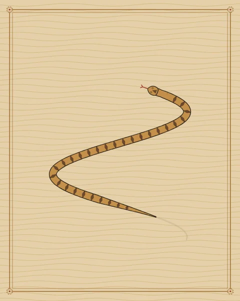 A single snake crossing rippled sand in a long S-curve, its track trailing behind it, on a warm ground.