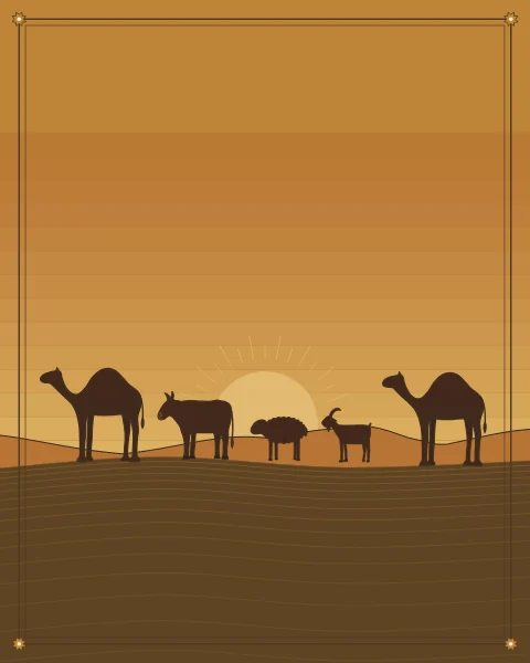 Camels, cattle, sheep and goats walking home along a ridge at dusk, dark against a low sun and a banded sky.