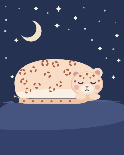 An Arabian leopard cub sleeps curled on a smooth rock, its tail wrapped round, under a thin moon.